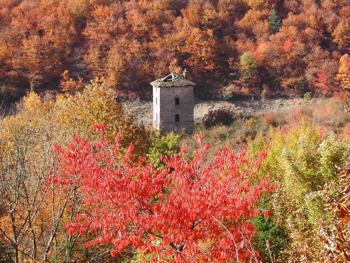 Gite Des Voyageurs Villefort  Exterior photo